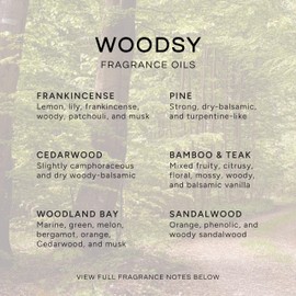 Eternal Essence Oils Woodsy Premium Fragrance Oils Set - Including Pine, Cedar Wood, Sandalwood, Bamboo & Teak, Woodland Bay and Frankincense - Rustic and Woody Scented Oils (6 Pack)