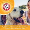 Arm & Hammer Arm & Hammer for Pets Tartar Control