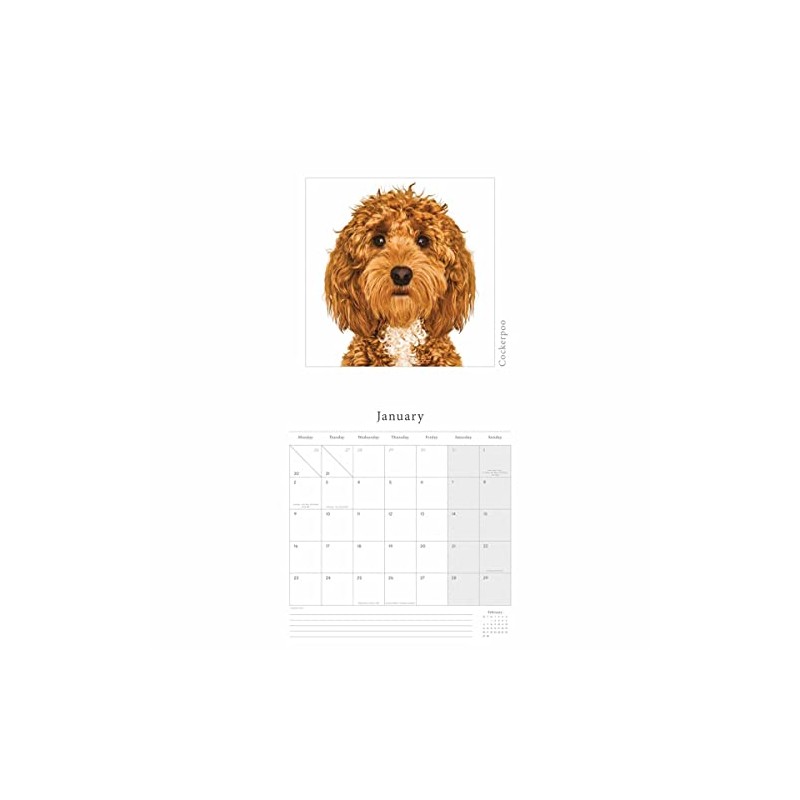 Wall Calendars 2023 by Portico Designs (Gruff Pawtraits Square Calendar)