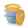 Tupperware Essentials Store Serve & Go Bowl Set, Medium, 3