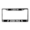 CafePress I Love My Shiba Inus (Plural) License Plate Frame