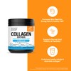 Sandhu's Collagen Peptides, Péptidos De Colágeno 454g