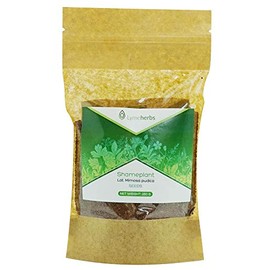 Mimosa Pudica Dried Seeds (250g)