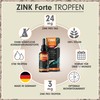 Zinc Drops Forte 100 ml - 2700 Drops Extra High