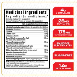 Batch 27 Lite Pre Workout Powder - Clean Energy, Intense Pumps, Strength & Endurance - L Citrulline, Beta Alanine, Caffeine, Dynamine, & Electrolytes - Nitric Oxide Booster - 20 Servings, Peach Rings