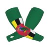 ASYG Cute Dominica Flag Cooling Arm Sleeves Women Men Dominican