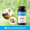 BEE PROPOLIS / PCHELENE POPOPOLIS 60 KAPSULI x 300mg