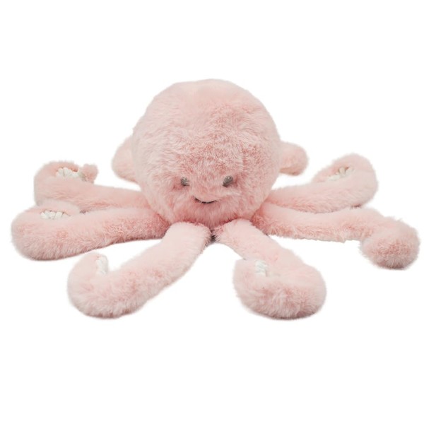 L & P Home & Gifts Lesser & Pavey Rpet