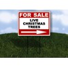LIVE CHRISTMAS TREES For Sale White Red Black Right Arrow