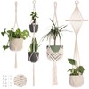 Nook Theory 4-Pack Macrame Plant Hangers with 8 Hooks -