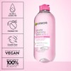 Garnier SkinActive Micellar Cleansing Water, For All Skin Types, (Pack