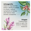 Fusion Health Stress & Anxiety 120t