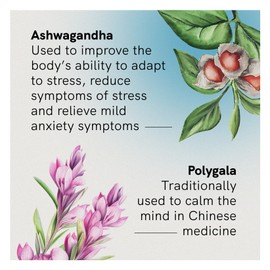 Fusion Health Stress & Anxiety 120t