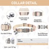 GAMUDA Small Dog Harness Collar and Leash Set, Step in