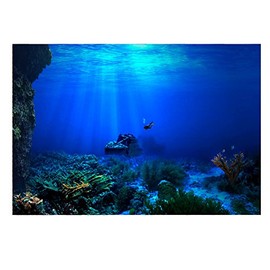 GOTOTOP Aquarium Poster 3D Effect Adhesive, Aquarium Background Decoration Seaworld Poster Self-Adhesive Underwater Coral Decor(61 * 30cm)