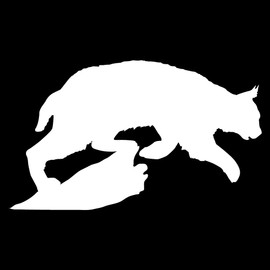 Express Yourself Products Bobcat on The Hunt Wall Decal (White - Reverse Facing - Large) - Predator Collection