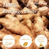 WT WEETEE Ginger Tea Bags, 100 Count Pure Ginger Root