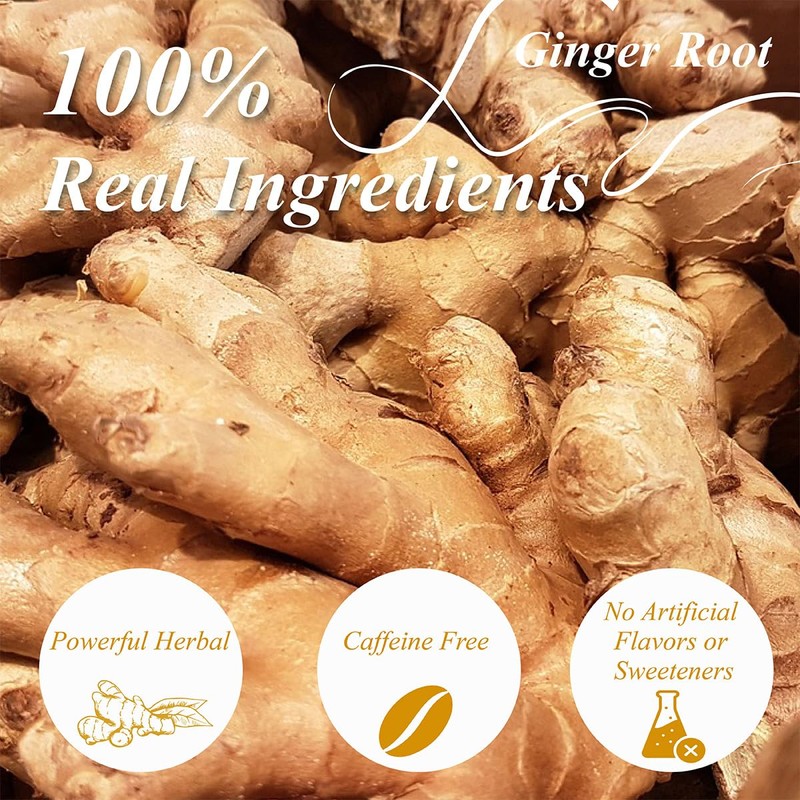 WT WEETEE Ginger Tea Bags, 100 Count Pure Ginger Root