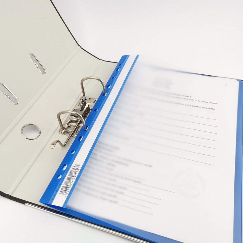 D.RECT Lux PP File Folder A4 with Perforation Strong Polypropylene