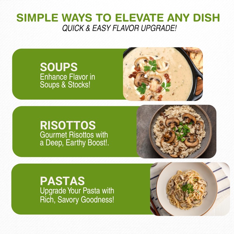 Mushroom House Dried Porcini Mushroom Powder, 1 lb - Wild-Harvested,