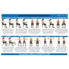 Vitality 4 Life Resistance Band for Seniors: Light Resistance, 4