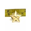 Unbranded Premium Metal Gold Star Pin with Butterfly Clutch Back