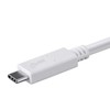 Monoprice USB Type-C to Type-C 3.1 Gen 2 Cable -
