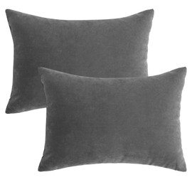 Ripeng 2 Pcs Tiny Pillows Down Alternative 14"x10" Microfiber Mini Pillows Soft Machine Washable Breathable Small Cushion for Travel Sofa Chair Sleeping Pets Neck Wrist Lumbar Knee Support (Gray)