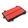 Hiflo HFA3903 Air Filter
