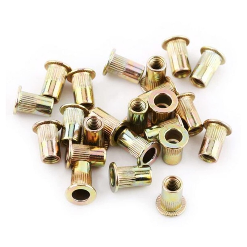 AIWFL 100Pcs M6 Metric Zinc Plated Carbon Steel Rivet Nut,