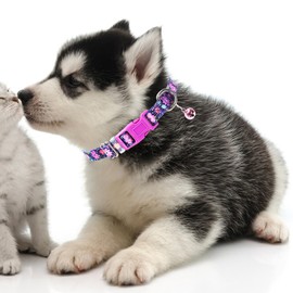 Flower Small Dog Collar with Bell, Soft Adjustable Puppy Collar Tiny Cat Collars with Bells for XS Small Girl and boy Dogs Little Animal,S