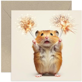 Funny Well Done Cards for Women and Men - Hamster With Sparklers Celebration Card for Son or Daughter - Super Cute Proud of You Cards for Friend - Graduation, New Job, Promotion