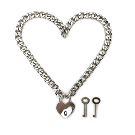 Succuba Padlock Necklace Chain Collar Choker with Two Keys and Box for Women, Men and Pet (I, 16)