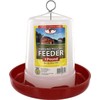Little Giant Little Giant Farm & Ag Phf3 Pltry Feeder
