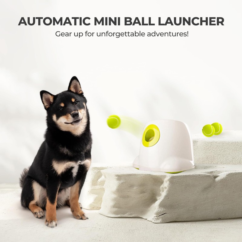 AFP Automatic Ball Launcher for Dogs Dog Fetch Ball Thrower