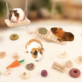 FIDWALL 15PCS Hamster Toys and Chew Set, Natural Wooden & Timothy Hay Molar Toys for Hamsters, Guinea Pigs, Gerbils, Chinchillas – Cage Accessories for Biting, Playing, Teeth Care & Boredom Relief