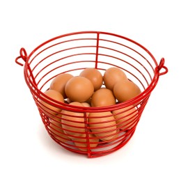 Prevue Pet Products 8 Inch Red Vinyl Coated Metal Egg Basket, Holds 24-36 Eggs - SP468