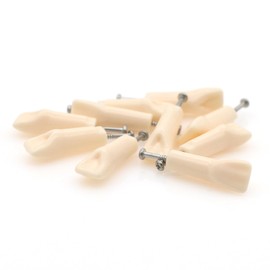 10pcs Dental Typodont Practice Teeth Study Model Individual Replacement Teeth Student Teaching Resin Filling Training Compatible Kilgore Nissin 200 Type (21#)