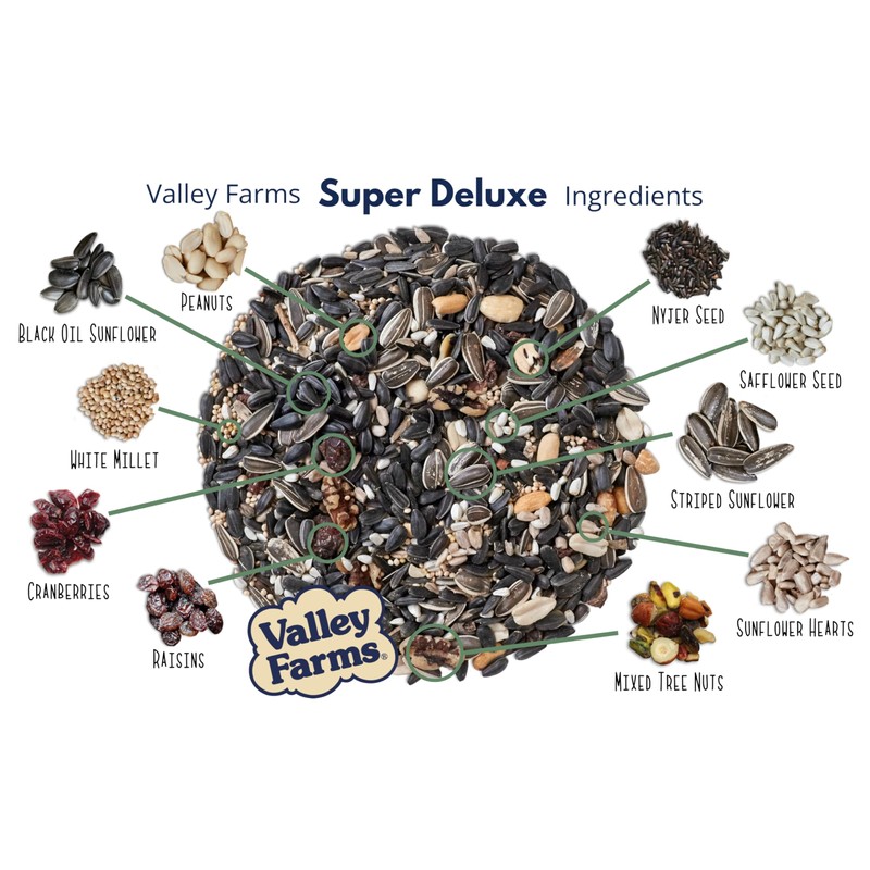 Valley Farms Super Deluxe Wild Bird Food (15 LB) for
