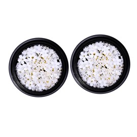 Outanaya 2pcs Nail Art Charms White Resin Five-Petal Flower Decorations Elegant Manicure Accessories for Salon Home Use for Natural and Artificial Nails