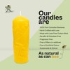 Nature Scene Beeswax Pillar