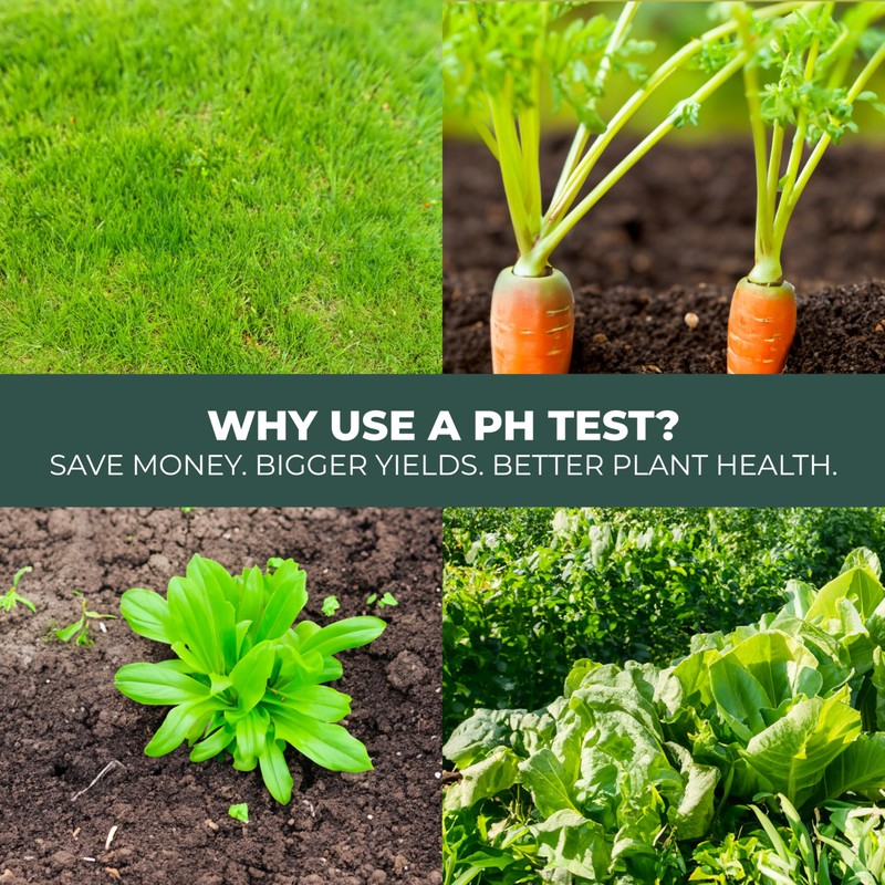 100 Strip Soil pH Test Kit - Complete pH Test