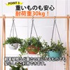 ARARAGI S-Shaped Hook, S Shaped Hook, S Hook, S Hook,