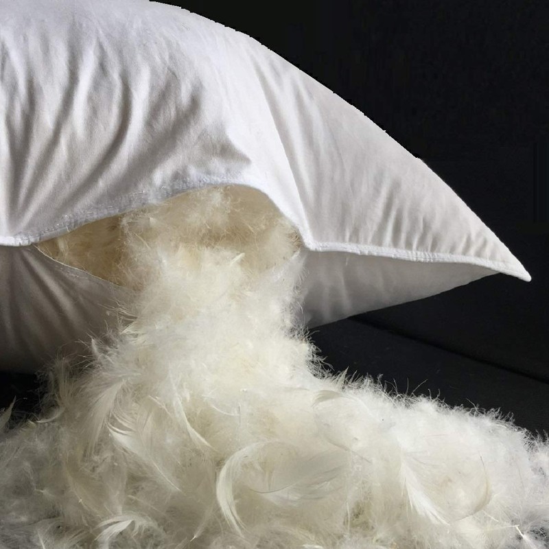 Eastwarmth Goose Down Feather Hotel Collection Bed Pillow for Sleeping,100%