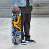Tony Hawk 31 inch Skateboard, Tony Hawk Signature Series 3,