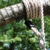 Tree Swing Conversion Ropes Complete Kit with Galvanised Steel Fixings