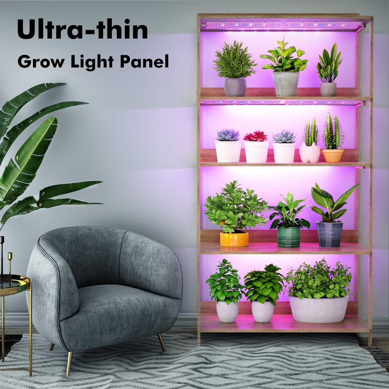 Grow Lights for Indoor Plants