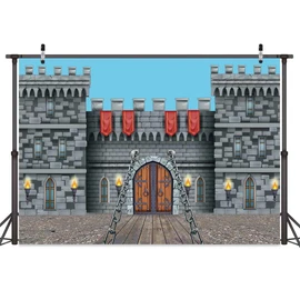 Medieval Castle Backdrop 7 x 5 ft, Knight Castle Medieval Party Decoration Banner, Medieval Arches Entrance Door Stone Wall Background Polyester for Kids Boys Birthday Party Photo Props Supplies