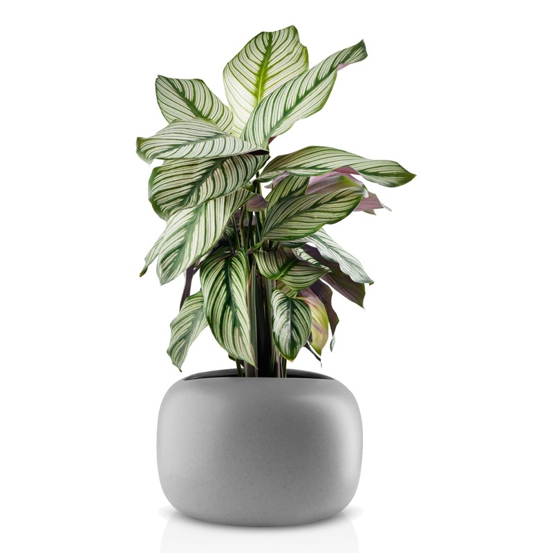 Eva Solo Stone Flowerpot Diameter 19 cm, Grey, Medium