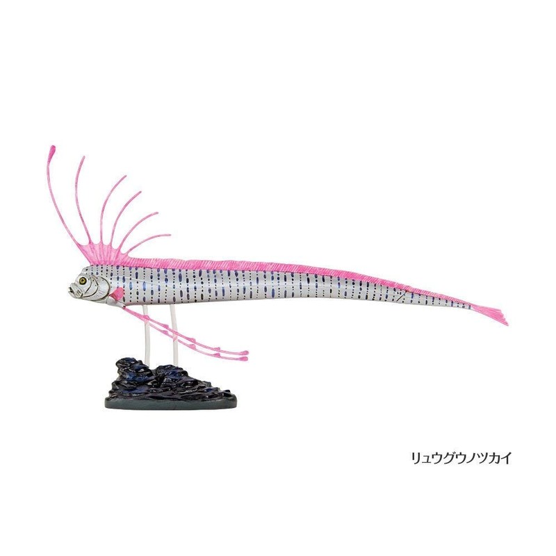Carolata 3D Illustration Book, Deep Sea Fish Figure, 7 Types